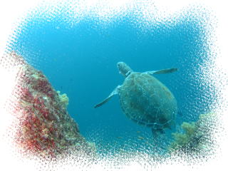 �����@�A�I�E�~�K��